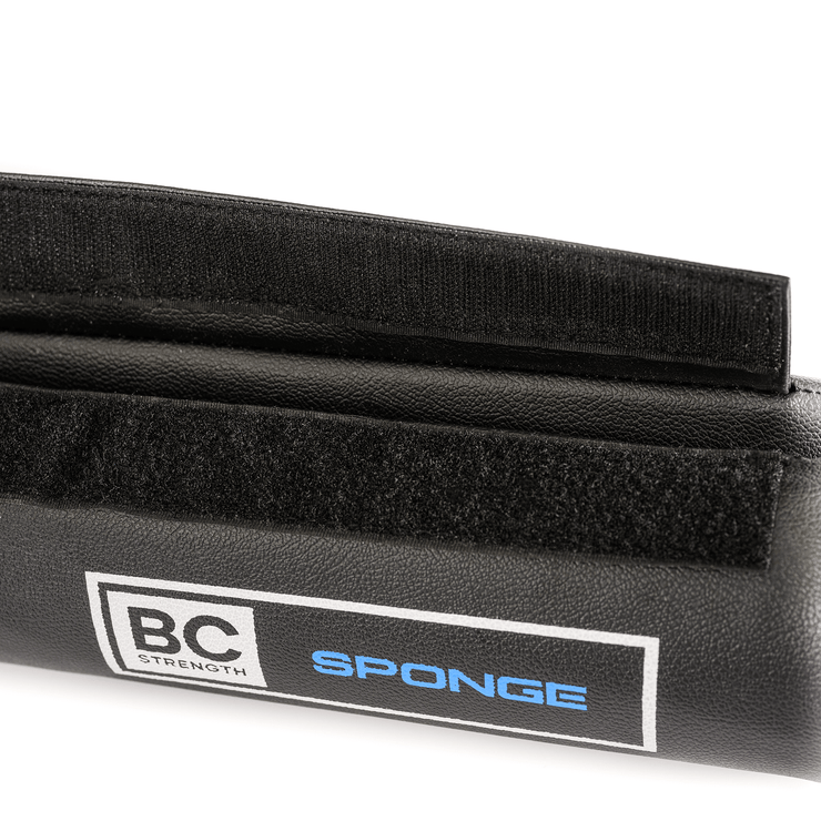 Sponge Pro